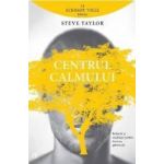 Centrul calmului - Steve Taylor