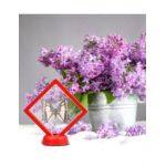 Set 12 cutii cu fereastră pentru mărțișoare engros 7 cm roșu