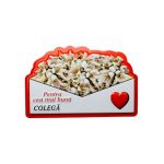 Magnet En-gros, Aranjament cu Ghiocei " Pentru cea mai buna COLEGA" 10×7cm