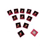 Set 24 Brose Martisor in cutiuta cu fereastra, 5×5cm, Bufnita Inteleapta, model 2024, en-gros