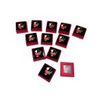 Set 24 Brose Martisor in cutiuta cu fereastra, 5×5cm, Vaza cu Ghiocel, model 2024, en-gros