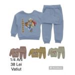 Compleu vatuit 2 piese Engros, pentru baieti, cu model imprimat