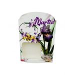 Pachet En-gros 100 Cartoane pentru Martisoare, cu fereastra, 10.5×7cm