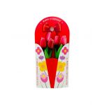 Aranjament En-gros cu 5 Lalele din silicon, in cutie deosebita cu suport de birou, 35×17cm