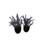 Aranjament floral Engros in ghiveci din plastic, 22cm