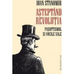 Asteptand revolutia - Ioan Stanomir