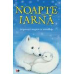 Noapte de iarna. 10 povesti magice cu animalute