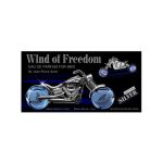 Apa de parfum pentru barbati, Wind of Freedom, Accentra, 30ml zi & 50ml noapte Engros