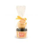 Set baie mini smoothie cu body scrub si bomba de baie cu aroma de portocala IDC Institute 98152 Engros