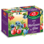 Ceai Aromofruct Afine Si Merisor 20dz