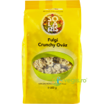 Fulgi Crunchy Ovaz 300g