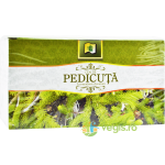 Ceai de Pedicuta 20dz