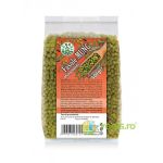 Fasole Mung 500g
