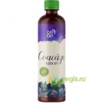 Sirop de Coacaze Negre Ecologic/Bio 500ml