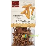 Ciuperci Galbiori Deshidratati Ecologici/Bio 20g