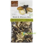 Mix de Ciuperci Salbatice Deshidratate Ecologice/Bio 30g