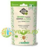 Seminte de Ceapa pentru Germinat Ecologice/Bio 50g