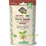 Seminte de Creson pentru Germinat Ecologice/Bio 100g