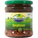 Linte in Borcan Ecologica/Bio 330g