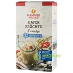 Terci de Ovaz cu Fructe fara Gluten Ecologic/Bio 400g