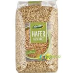 Ovaz Ecologic/Bio 1kg