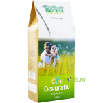 Ceai Depurativ 50g