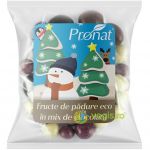 Fructe de Padure in Mix de Ciocolata Ecologice/Bio 50g