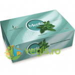 Ceai de Menta 100dz