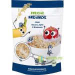 Musli cu Banane, Mere si Afine fara Zahar Ecologic/Bio 220g