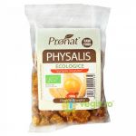 Physalis Agrisele Incasilor Ecologice/Bio 100g