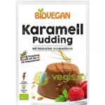 Pudra Budinca De Caramel Fara Gluten Ecologica/Bio 43g