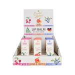 Set 24 bucati Balsam de buze cu aroma de fructe Essential Botanics Fruits Accentra 5757555, 10 g Engros