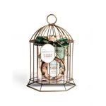 Set gel dus, lotiune corp, exfoliant si o colivie decorativa Scented Garden Cage, IDC Institute 44007, 240 ml Engros