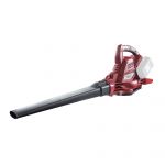 Suflanta frunze cu tocator Raider RDP-SEBV20, 40 V, 200 km/h, 35 l capacitate sac colector