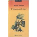 E cineva acolo sus - Bruno Ferrero