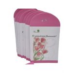 Plic de hartie engros pentru martisor 9 X 16 cm set 100/buc
