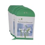 Plic de hartie engros pentru martisor 9 X 16 cm set 100/buc