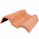 Laterala dreapta ZL - 977 Toza Markovic, natur, 400 x 245 mm