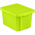 Cutie depozitare cu capac, Essentials, verde, 26 L