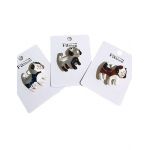 Set engros 12/buc brose elegante "Catelus"