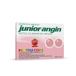 JUNIOR ANGIN 24 PASTILE