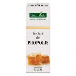 PLANTEXTRAKT PROPOLIS TINCTURA 30ML