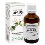 EXTRACT MLADITE DE CAPRIFOI 50ML