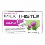ZDROVIT SILIMARINA MILK THISTLE + COLINA 30 CAPSULE