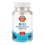 SECOM VITAMINA B12 5000MCG X 60 COMPRIMATE DE SUPT