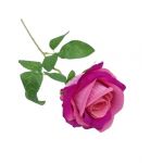 Trandafir de catifea fir 9 cm boboc