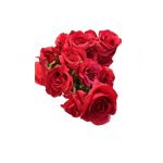 Flori artificiale Engros, fir trandafir rosu, 50cm