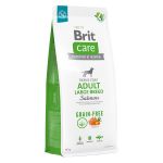 Brit Care Grain-Free Adult Large Breed, L-XL, Somon, hrană uscată fără cereale câini, piele & blană, 12kg