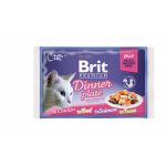 Brit Premium Multipack Dinner Plate, 4 arome, pachet mixt, plic hrană umedă pisici, (în aspic), 4 x 85g