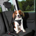 Ham și Centura Auto câini S-M 40-55 cm/20 mm Negru 12855